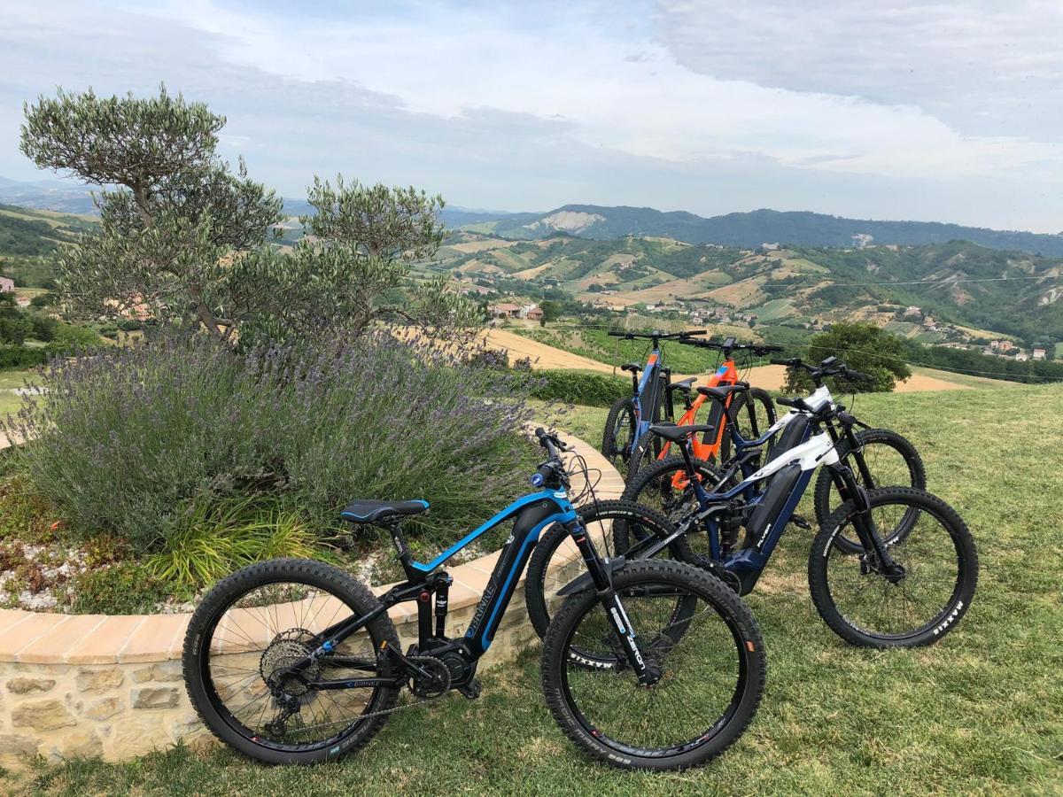 Ca' Del Passero B&B Vigoleno Buitenkant foto